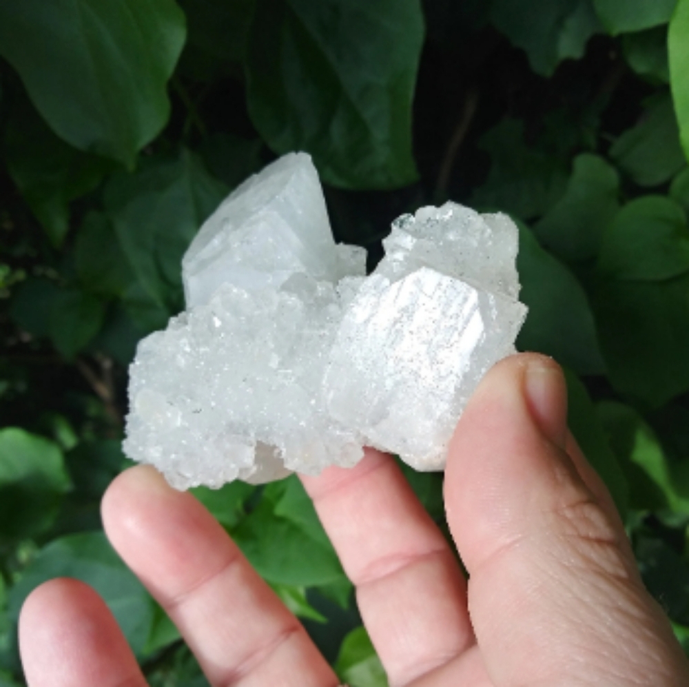 Apophyllite Crystal Cluster
